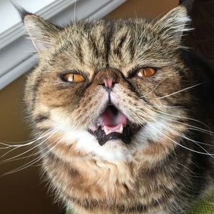 Feel free to make me an offer, the more you bundle, the more you will save 😊